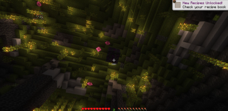  Randomium Ore  Minecraft 1.21.1