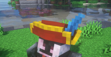  Pirate Hats  Minecraft 1.16.5
