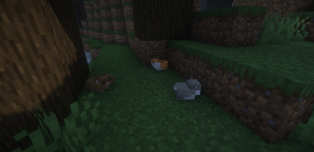  Hamsters Plus Lite  Minecraft 1.19.2
