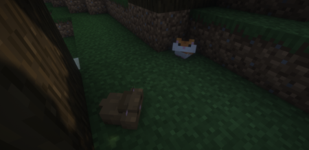  Hamsters Plus Lite  Minecraft 1.20.1