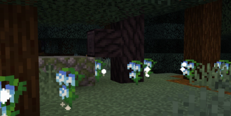  Windswept  Minecraft 1.20