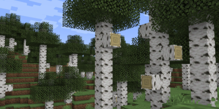  Windswept  Minecraft 1.20.1