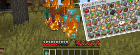  Sona Survival 101  Minecraft 1.20.1