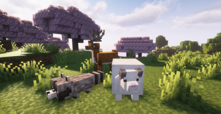  Lets Do WilderNature  Minecraft 1.20.1