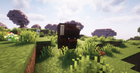  Lets Do WilderNature  Minecraft 1.20.1