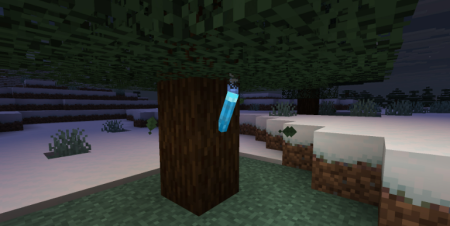  Colored Torches  Minecraft 1.21.8