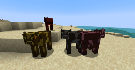  Dye Mob  Minecraft 1.20.1