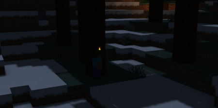  Fragile Torches  Minecraft 1.19.4