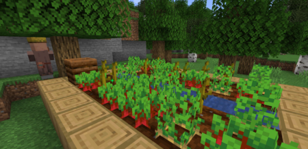  Unloaded Activity  Minecraft 1.21.8