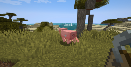  Obituary  Minecraft 1.20.1