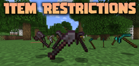  Item Restrictions  Minecraft 1.21.8