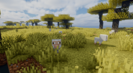  Babies Forever  Minecraft 1.21.6