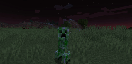  No Hostiles Around Campfire  Minecraft 1.21.9