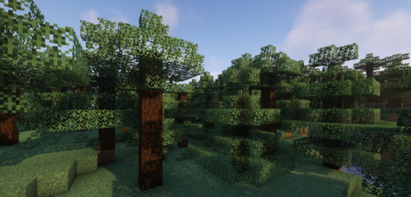  Cull Leaves  Minecraft 1.21.10