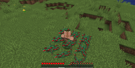  Sneak Through Berries  Minecraft 1.21.5