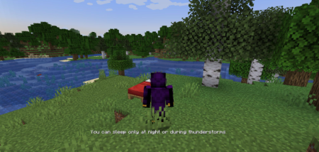  Server Sleep  Minecraft 1.21.9