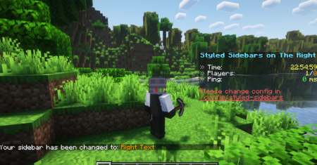  Styled Sidebars  Minecraft 1.21.10