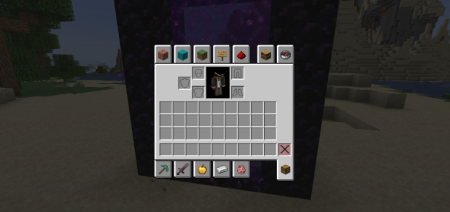  Allow Portal GUIs  Minecraft 1.21.10