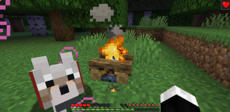  Healing Campfire  Minecraft 1.21.9