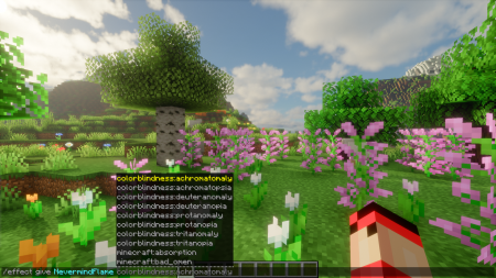  Color Blindness  Minecraft 1.21.9