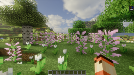  Color Blindness  Minecraft 1.21.10