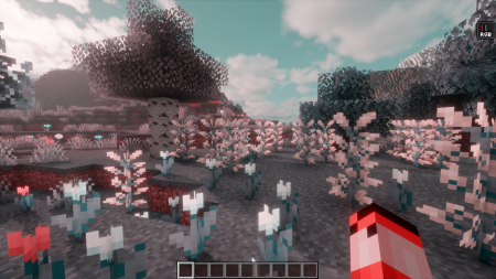  Color Blindness  Minecraft 1.21.10