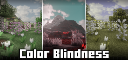  Color Blindness  Minecraft 1.21.10