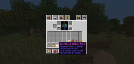  Food Effect Tooltips  Minecraft 1.21.10