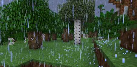  Dynamic Surroundings  Minecraft 1.21