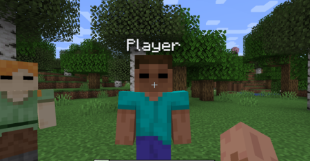  Whos There Ghost Players  Minecraft 1.20.1
