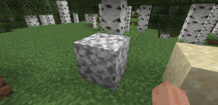  Highlight  Minecraft 1.21.8