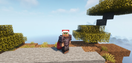  Elytra Slot  Minecraft 1.21.5