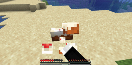  Cake Chomps  Minecraft 1.21.9