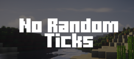  No Random Ticks  Minecraft 1.21.1