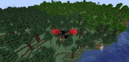  Elytra Drag  Minecraft 1.21.1