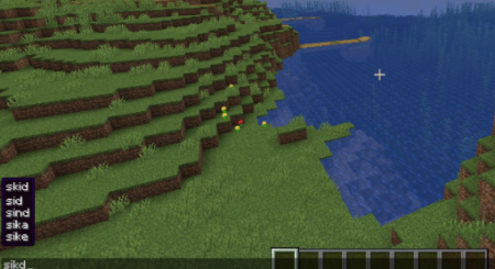  Spell Checker  Minecraft 1.21.8