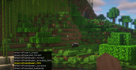  Locator  Minecraft 1.20.1