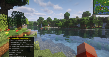  The Ruler  Minecraft 1.21.9