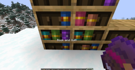  Bookshelf Inspector  Minecraft 1.21.9