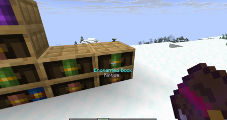  Bookshelf Inspector  Minecraft 1.21.9