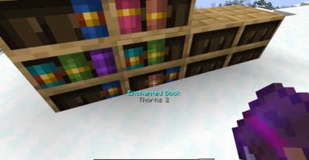  Bookshelf Inspector  Minecraft 1.21.10