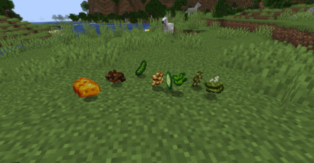  Adorable Hamster Pets  Minecraft 1.21.1