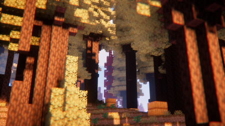  Oh The Biomes Weve Gone  Minecraft 1.21.8