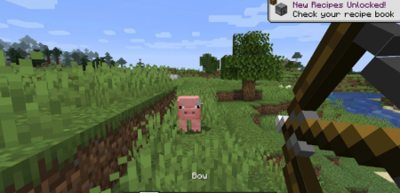  First-person Model  Minecraft 1.21.9