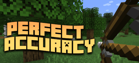  Perfect Accuracy  Minecraft 1.21.10