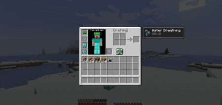  Who Am I  Minecraft 1.21.11