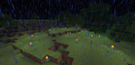  Glowing Torchflower  Minecraft 1.21.10