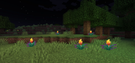  Glowing Torchflower  Minecraft 1.21.11