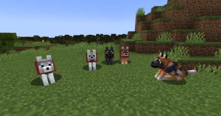  Wolf Port  Minecraft 1.20.3