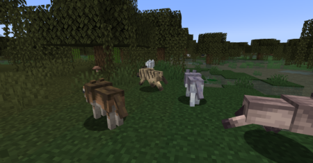  Wolf Port  Minecraft 1.20.3